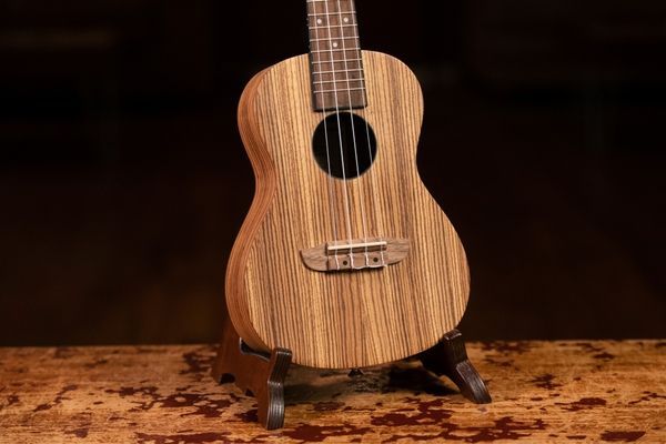 Укулеле Ortega Timber RFU11Z Concert Zebrawood (с чехлом) 128673 фото