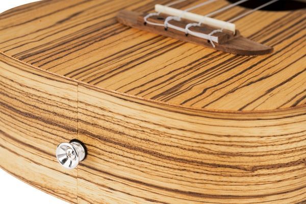 Укулеле Ortega Timber RFU11Z Concert Zebrawood (с чехлом) 128673 фото
