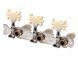 MAXTONE GM-21N Guitar Tuning Machines