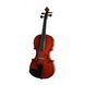 Скрипка Strunal Stradivarius 331w Strunal-331w 4/4 фото 2