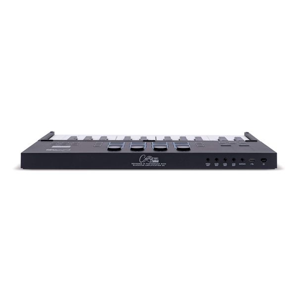 MIDI-контролер розкладний Carry-on Folding Controller (25 клавіш) Black 128227 фото