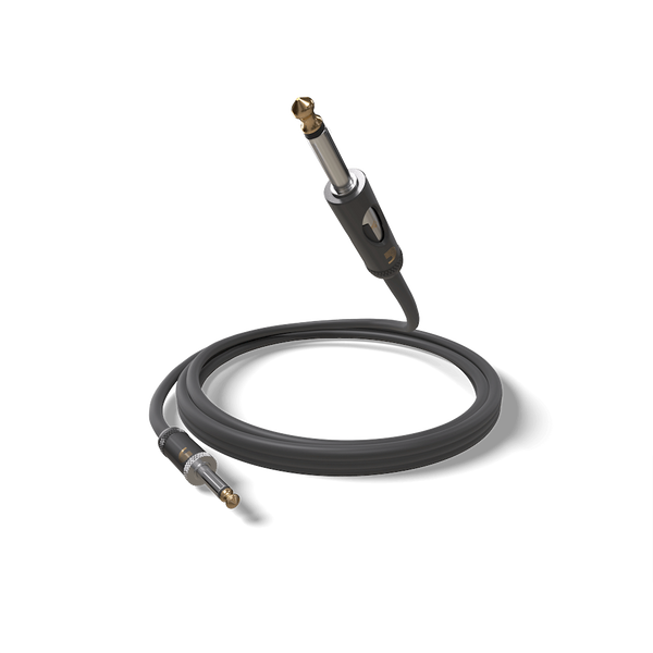 Инструментальный или патч-кабель D'ADDARIO PW-AMSK-10 American Stage Kill Switch 3m 32840 фото