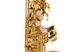 Roy Benson Alto Saxophone дитячий AS-201 G-RB700590 photo 6