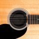 D'ADDARIO PW-SH-01 Screeching Halt Soundhole Plug 26293 фото 2