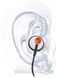 Superlux HD381 SET &mdash; three-model wired in-ear headphone set: HD381/HD381F/HD381B 29681 photo 9