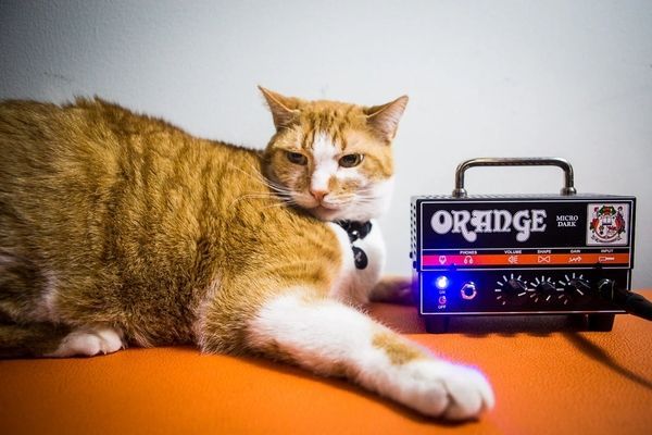 Усилитель для электрогитары Orange Micro Dark 123538 фото