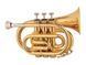 Mini Trumpet MAXTONE TT MINI 53L B♭