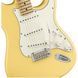Електрогітара FENDER PLAYER STRATOCASTER MN BCR 439059 фото 6