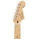 Електрогітара FENDER PLAYER STRATOCASTER MN BCR 439059 фото 4