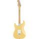 Електрогітара FENDER PLAYER STRATOCASTER MN BCR 439059 фото 2