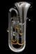 Bb Compensated Euphonium &lsquo;Fortissimo&rsquo; Wessex EP110P, silver/gold EP110P-SG photo 2