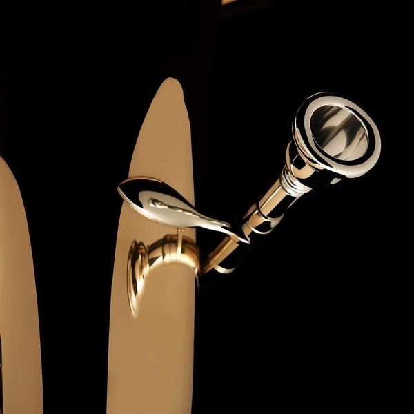 F Tuba &lsquo;Linz&rsquo; Wessex TF436P, silver plated TF436P-S photo