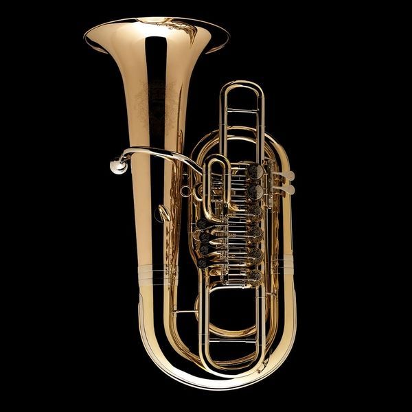 F Tuba &lsquo;Linz&rsquo; Wessex TF436P, silver plated TF436P-S photo