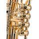 Тенор-горн Miraphone 47 WL4 11000 (Си-бемоль (Bb)) 198360 фото 6