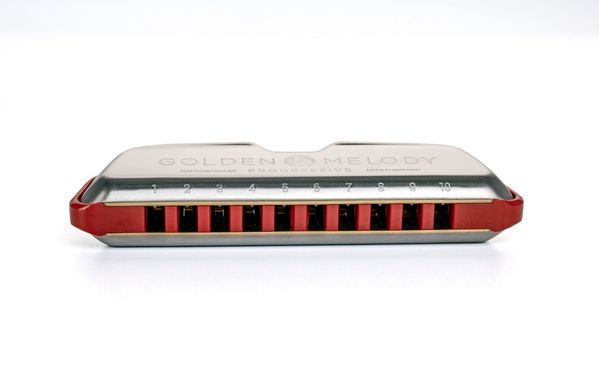 Губная гармошка Hohner Golden Melody Progressive M54403X D-major 128020 фото