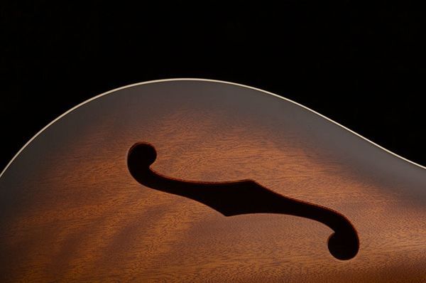 PRS SE Hollowbody Standard semi-hollow (McCarty Tobacco Sunburst) 38166 photo