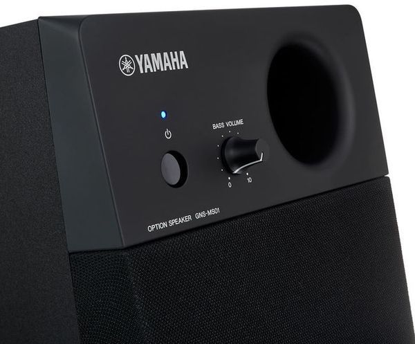 YAMAHA GNS-MS01 35229 фото