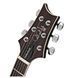 PRS SE Hollowbody Standard semi-hollow (McCarty Tobacco Sunburst) 38166 photo 12