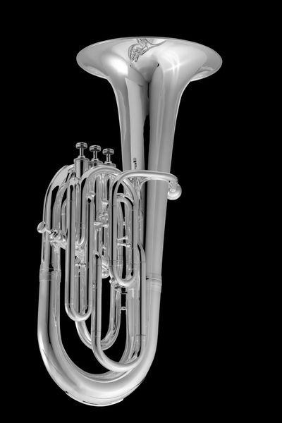 French Bb Saxhorn Wessex BR20, lacquer BR20-L photo