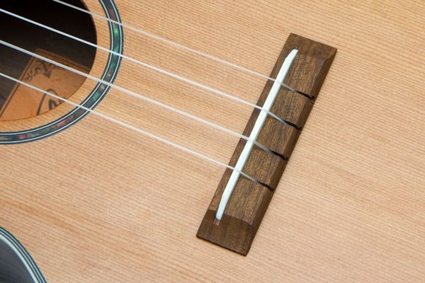 Укулеле тенор Prima MU381T Tenor Solid Top 128319 фото