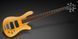 WARWICK RockBass Streamer Standard, 4-String (Honey Violin Transparent Satin) bass guitar (Honey Violin Transparent Satin) 38412 photo 3