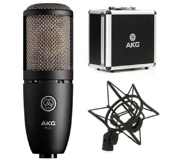Студийный конденсаторный микрофон AKG P220 3101H00420 фото