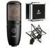 Студийный конденсаторный микрофон AKG P220 3101H00420 фото 2