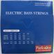 PARKSONS SB45105 ELECTRIC BASS (45-105) 21596 фото 3
