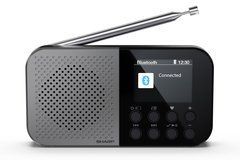 Портативна колонка DR-P520 DR-P520(GY) фото