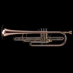 Bb Bass Trumpet (piston valve) Wessex BT1, lacquer BT1-L photo
