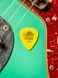 Медіатор Dunlop 418P.73 Tortex Standard .73 mm (12 шт.) 116386 фото 7