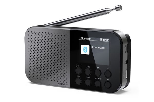 Портативний цифровий радіоприймач SHARP DR-P520 Grey