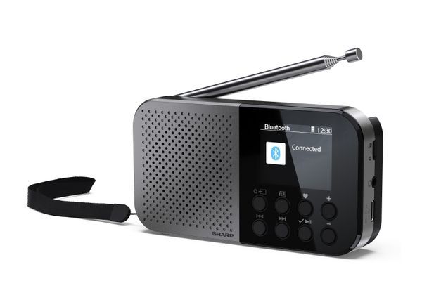 Портативний цифровий радіоприймач SHARP DR-P520 Grey