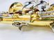 Saxophone Antoine Courtois The Face Saxophone Antoine Courtois The Face photo 2