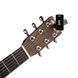 D'ADDARIO PW-CT-17BK Eclipse Tuner 34331 фото 2
