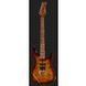Електрогітара HARLEY BENTON Fusion-III HSS Roasted FBB + комбопідсилювач HB-20R 566932 фото 2