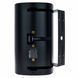 Настенная акустическая система Bose DesignMax DM8S Black 492248 фото 6