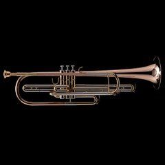 Bb Bass Trumpet (piston valve) Wessex BT1, silver plated BT1-S photo