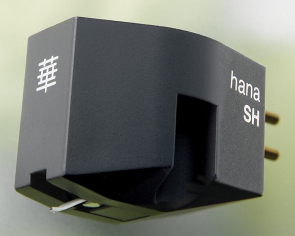 SH HANA - SH фото