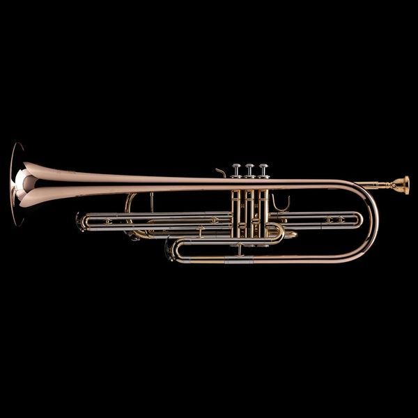 Bb Bass Trumpet (piston valve) Wessex BT1, silver plated BT1-S photo