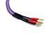 Purple Speaker cable 2x 4,0mm2, lenght 3 m ka_MDSC4030 фото 3