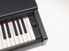 YAMAHA ARIUS YDP-105 (Black) 40210 фото 5