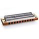 Набор губных гармошек Hohner Marine Band 125th Anniversary Display M202199 C-major (12 шт.) 127489 фото 3