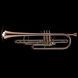Bb Bass Trumpet (piston valve) Wessex BT1, silver plated BT1-S photo 2