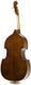 Контрабас STENTOR 1438/A STUDENT II DOUBLE BASS 4/4 32043 фото 2
