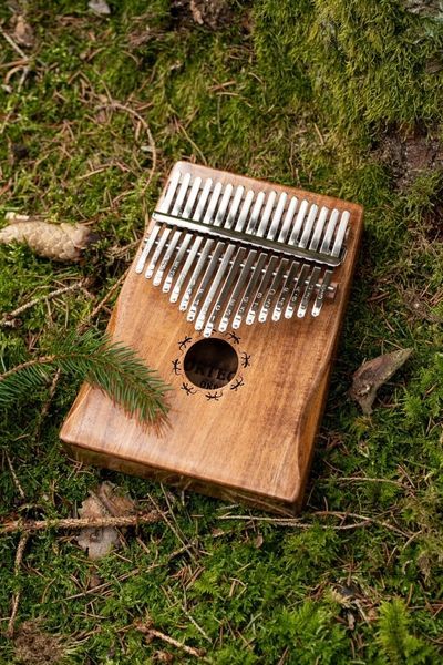 Калимба Ortega Lizard Series OKB1 Solid Acacia, 17 Keys