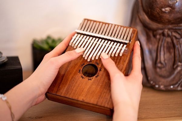 Калимба Ortega Lizard Series OKB1 Solid Acacia, 17 Keys