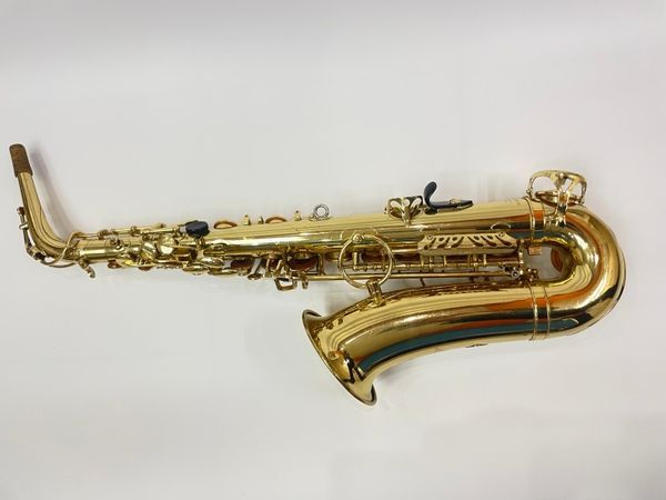 Alto Saxophone Yanagisawa Seria 800 model 500 Yanagisawa Seria 800 model 500 photo