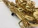Alto Saxophone Yanagisawa Seria 800 model 500 Yanagisawa Seria 800 model 500 photo 1