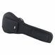 Электрогитара HARLEY BENTON WL-20BK Rock Series + комбоусилитель HB-20R 398906 фото 11
